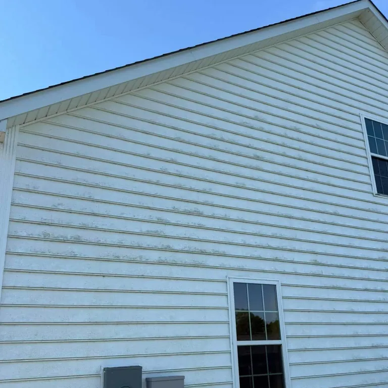White vinyl siding with green algae streaks before soft wash